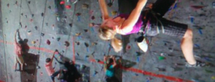 Vertical Ventures is one of Things to do in Tampa Bay.