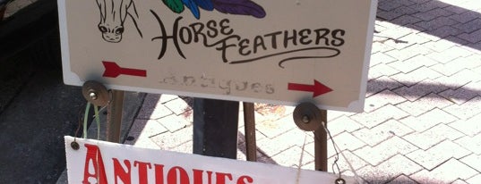 Horse Feathers is one of Cocoa Thrift.