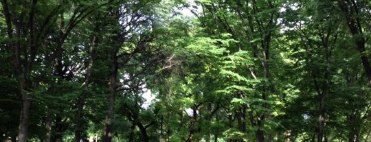 우에노공원 is one of 東京都立の公園・庭園.