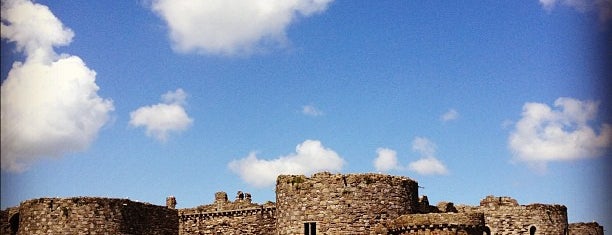 Beaumaris Castle is one of สถานที่ที่ Carl ถูกใจ.
