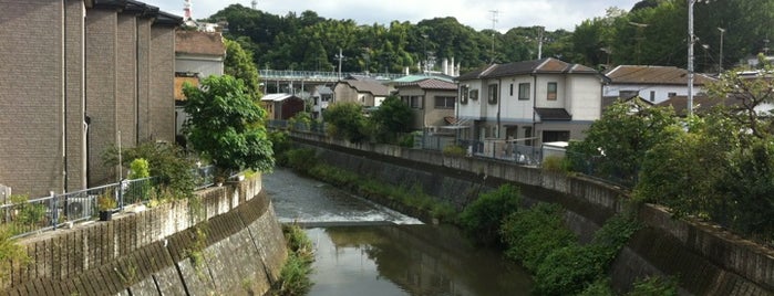 鷲山橋 is one of 帷子川に架かる橋と周辺の公園・史跡.