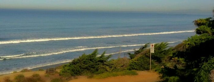 San Diego Surf Company is one of Explore San Diego (Del Mar) Like a Local.