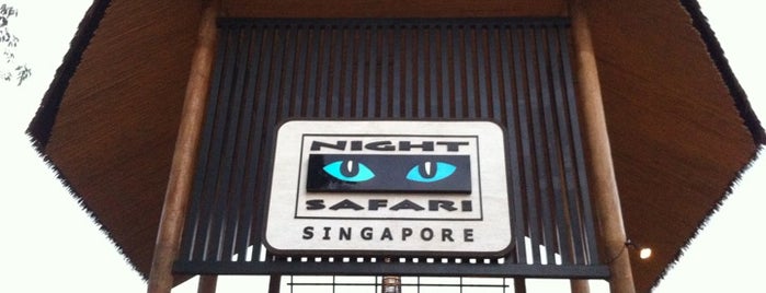 Night Safari is one of Singapore to do.