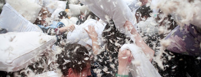 Barcelona Pillow Fight is one of Barcelona.