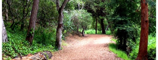 Mission Trail Nature Preserve is one of Dog-Friendly Monterey Peninsula.