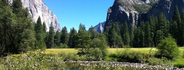 Yosemite National Park is one of Ultimate bucket list.