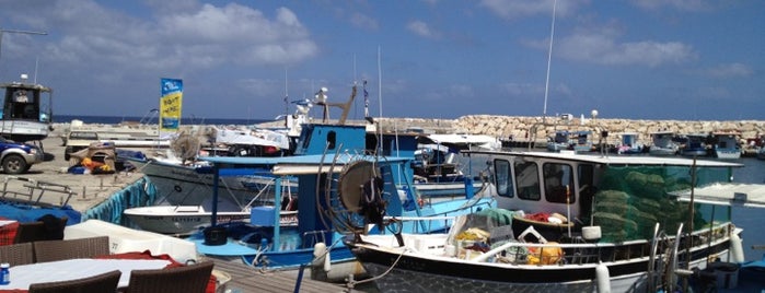Latchi Beach is one of Кипр.
