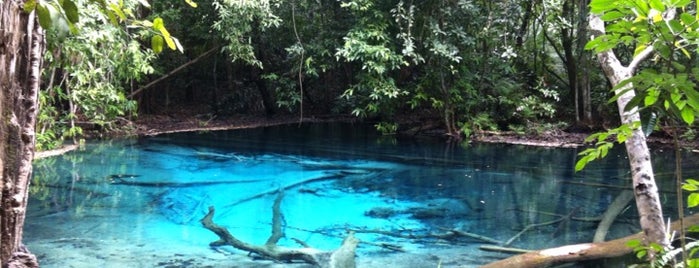 Emerald Pool is one of Пхукет.