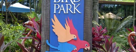 Jurong Bird Park is one of 鳥のいるスポット.