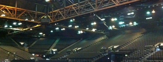 Resorts World Arena is one of Orte, die Tom gefallen.