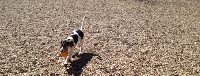 Orphan's Greenspace Dog Park is one of Toronto Off-Leash Dog Parks.
