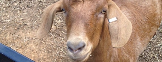 Oxon Cove Park & Oxon Hill Farm is one of Star-Spangled Banner National Historic Trail.