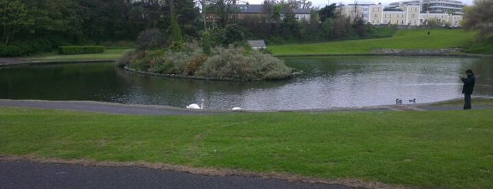 Blackrock Park is one of To Do.