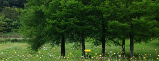 下青野公園 is one of さんだ.