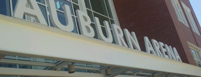 Auburn Arena is one of Experience NCAA Teams.
