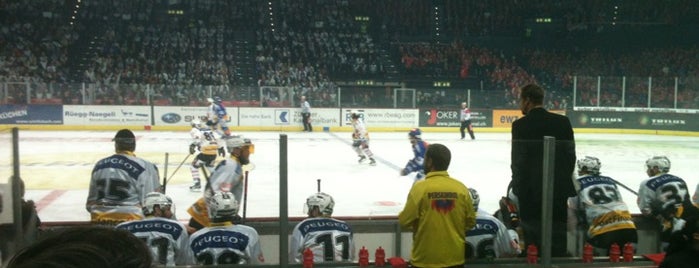 Hallenstadion is one of JYM Hockey Arenas.