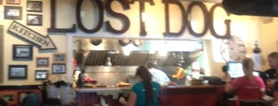 Lost Dog Cafe is one of Charleston.