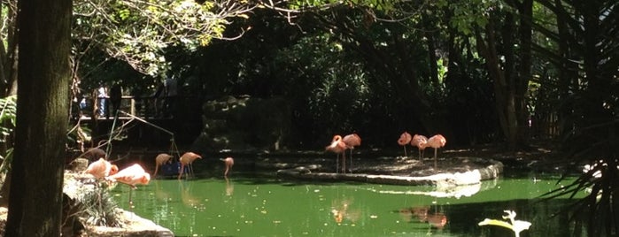 Zoológico Santa Fe is one of Para conocer Medellín, Colombia.