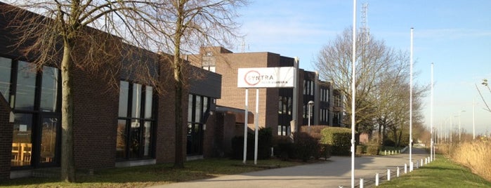 Syntra Midden-Vlaanderen Campus Sint-Niklaas is one of Sasha : понравившиеся места.