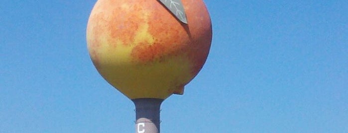Big Peach Water Tower is one of Out of State To Do.