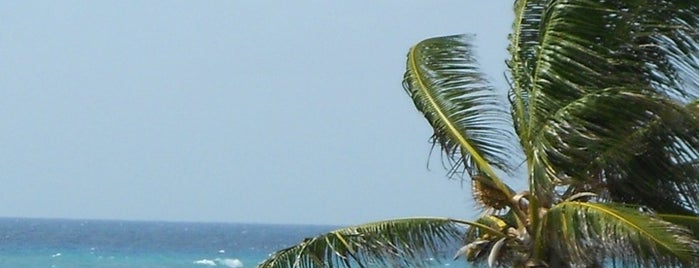 Surfer's Point is one of Barbados south coast beaches.