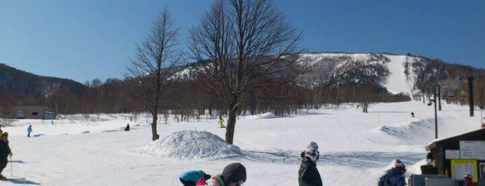 奥志賀高原スキー場 is one of SHIGA KOGEN Ski Area.