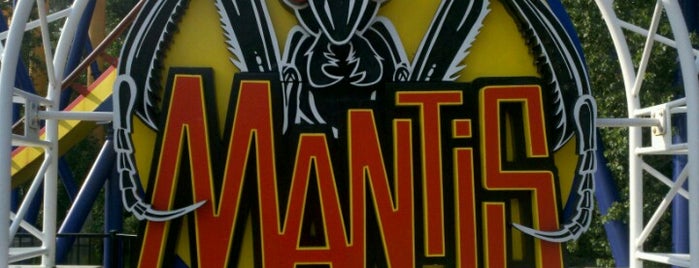 Mantis is one of Cedar Point.