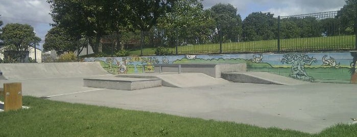 Leigh Skatepark is one of skate parks.