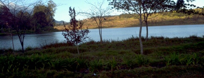 Lago Jardim dos Pinheiros is one of Brasil, VOL I.