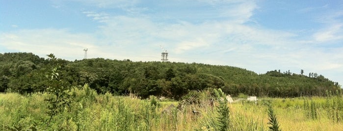 Fukushima Daini Nuclear Power Plant is one of 関東周辺にある原子炉.
