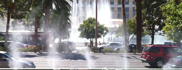 Mon Ami Gabi is one of Las Vegas Places To Visit.