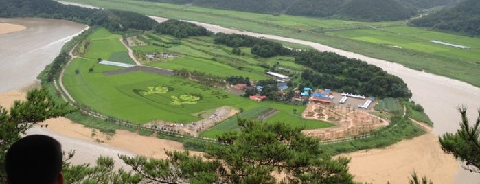 회룡포 전망대 is one of Tempat yang Disukai Won-Kyung.