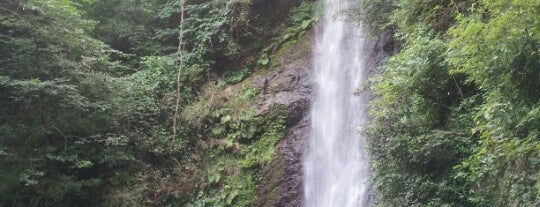 養老の滝 is one of 日本の滝百選.