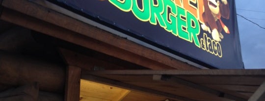 Donkey Burguer & Taco is one of restaurantes.