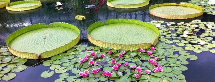Longwood Gardens is one of Birds, Mountains, and Lakes, Oh My!.