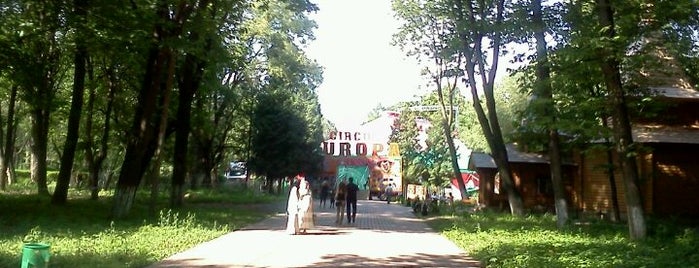 Боздошський парк is one of Uzhorod. ToDo.