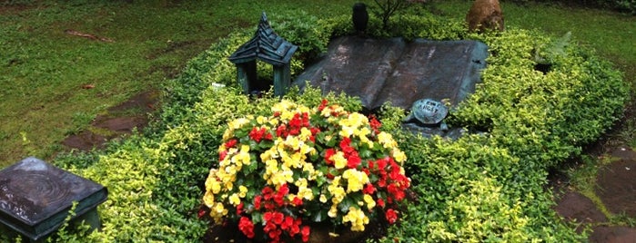 Waldfriedhof is one of Lugares favoritos de Alex.