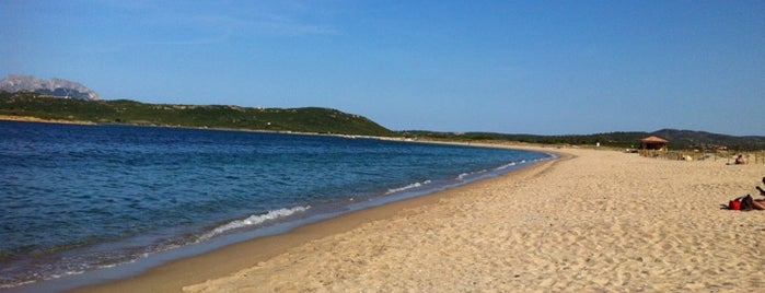 The Saline Beach is one of Favorite beaches & places in N-Sardinia.