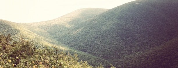 Mount Greylock Stony Ledge Overlook is one of สถานที่ที่ Ali ถูกใจ.