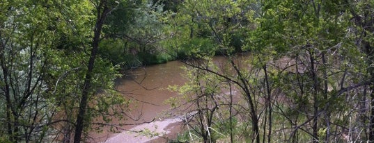 Goose Gossage Park is one of สถานที่ที่ Michael ถูกใจ.