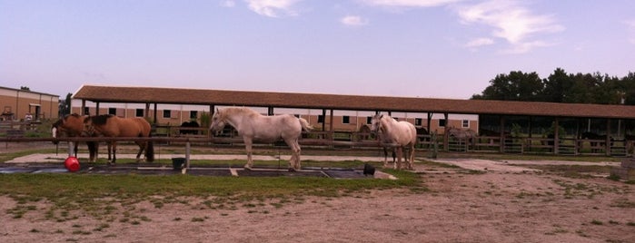Oceana Stables is one of Date Ideas ~ 3.