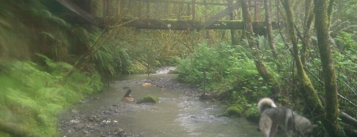 Freshwater Park is one of Humboldt County.