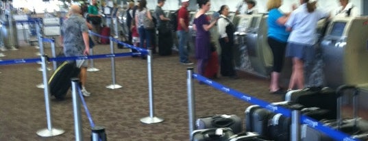 United Airlines Ticket Counter is one of Posti che sono piaciuti a Christopher.