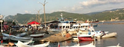 Amasra Limanı is one of Bartın.