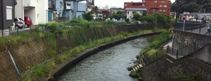 川島橋 is one of 帷子川に架かる橋と周辺の公園・史跡.