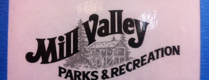 Mill Valley Community Center is one of Best Things To Do In The North Bay When It Rains.