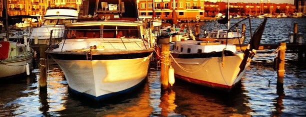 Thames Point Marina is one of The Great Outdoors.