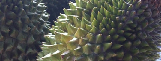 Durian Farm is one of Raub.