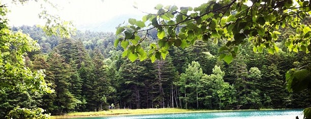 Lake Onneto is one of Hokkaido for driving.