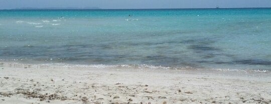 Platja de Ses Covetes is one of You, beach! (Mallorca).
